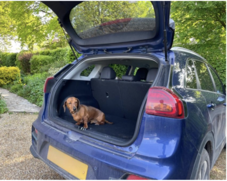 UK’s Best EVs for Dog Owners Revealed